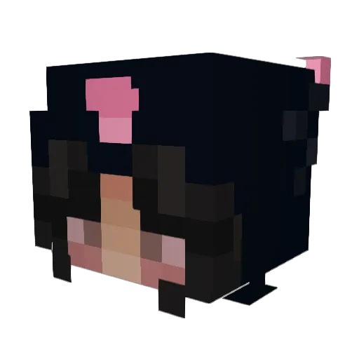 xbellarose Minecraft avatar head, 3D render