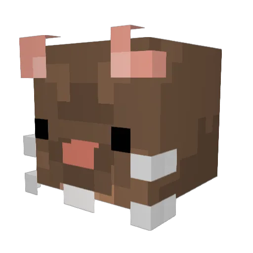 xblade1111 Minecraft avatar head, 3D render
