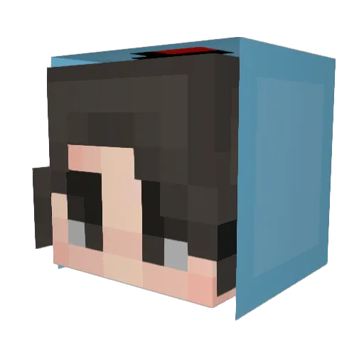 xblankz_ Minecraft avatar head, 3D render