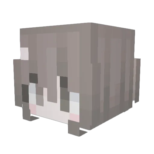 xbo0007 Minecraft avatar head, 3D render