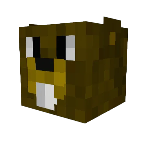 xboberR Minecraft avatar head, 3D render