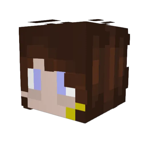 xboxbmaster611 Minecraft avatar head, 3D render