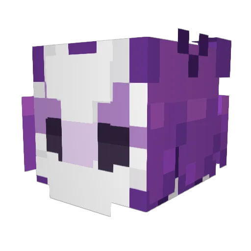 xboxcat7766 Minecraft avatar head, 3D render