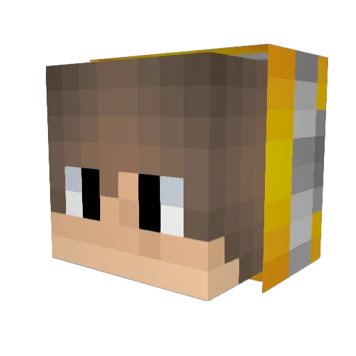 xboxgamer8372 Minecraft avatar head, 3D render