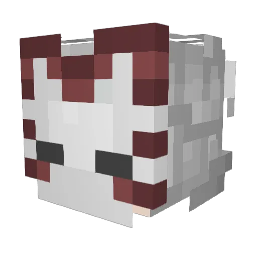 xbtalx Minecraft avatar head, 3D render