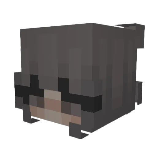 xbubbi Minecraft avatar head, 3D render