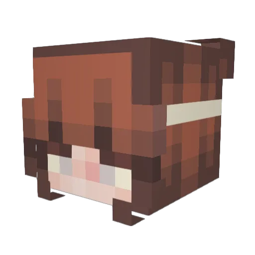 xbumble_bee Minecraft avatar head, 3D render