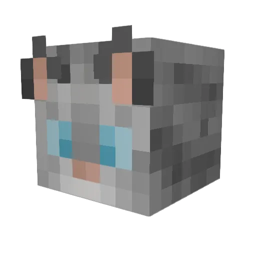 xcamu Minecraft avatar head, 3D render