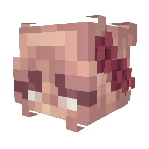 xcaocao Minecraft avatar head, 3D render