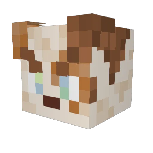 xcfdg_ Minecraft avatar head, 3D render