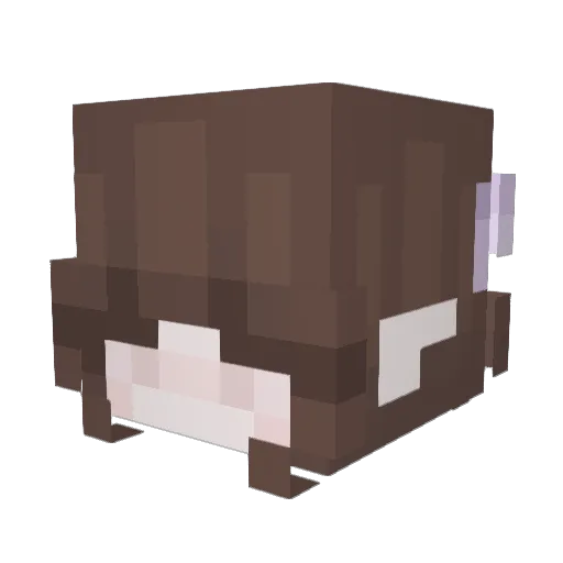 xchuchu Minecraft avatar head, 3D render