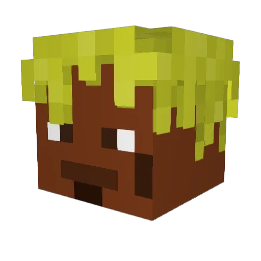 xcillerx Minecraft avatar head, 3D render