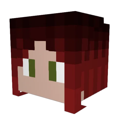 xcorvidx Minecraft avatar head, 3D render