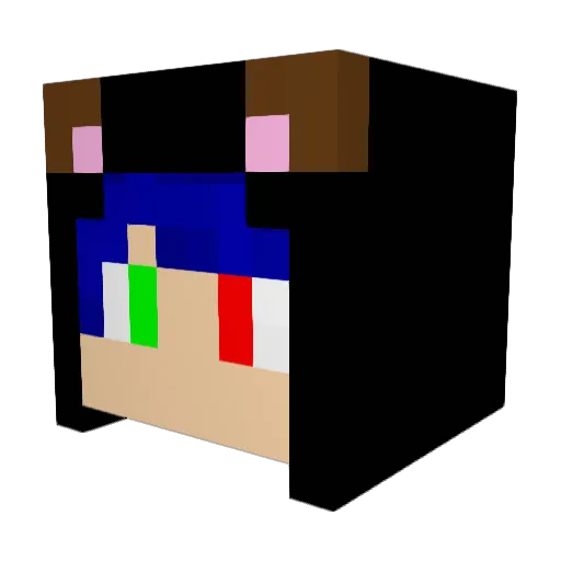 xctrigeek11 Minecraft avatar head, 3D render