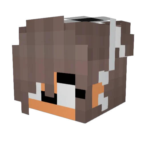xcuteaf_ Minecraft avatar head, 3D render