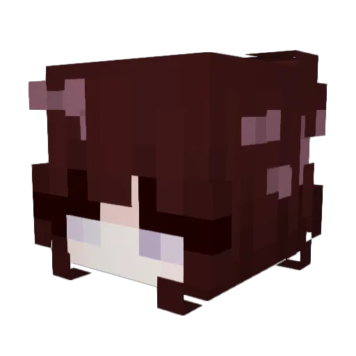 xcvtpx Minecraft avatar head, 3D render