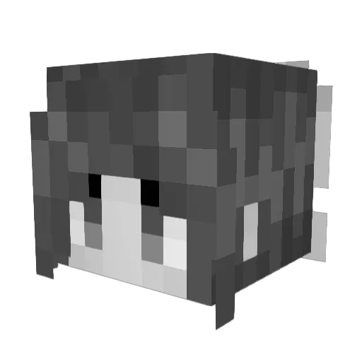 xcygan Minecraft avatar head, 3D render