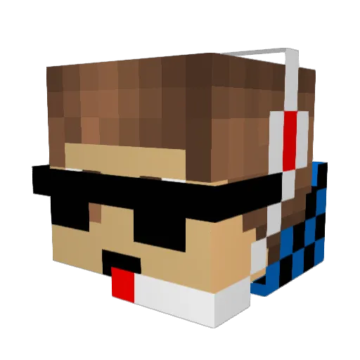 xd0wnf4llx Minecraft avatar head, 3D render