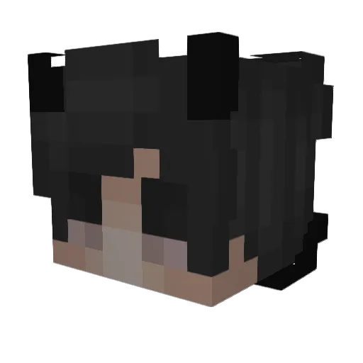 xd6ix9ine Minecraft avatar head, 3D render