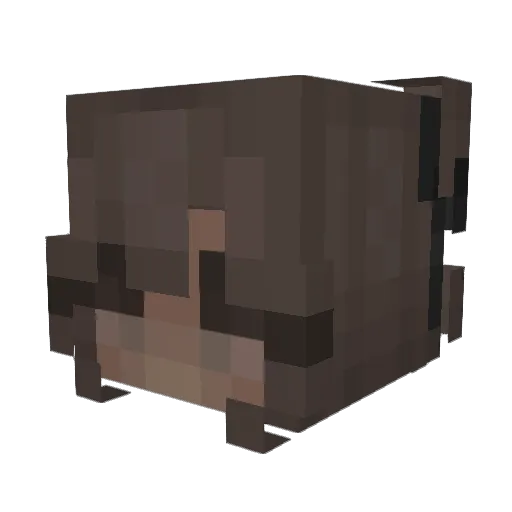 xd_fart Minecraft avatar head, 3D render