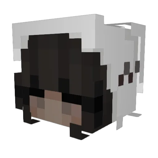 xdakina Minecraft avatar head, 3D render