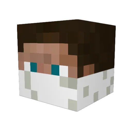 xdanamitex Minecraft avatar head, 3D render