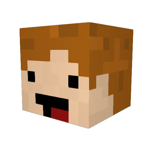 xdde Minecraft avatar head, 3D render