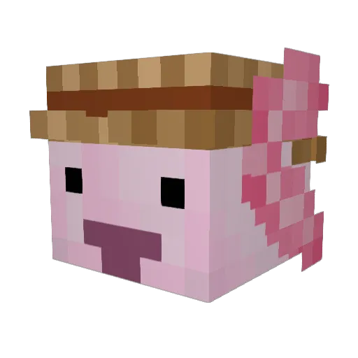 xdflam Minecraft avatar head, 3D render