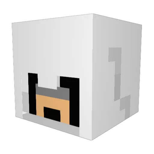 xdhenryk Minecraft avatar head, 3D render