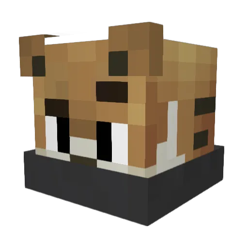 xdjonaxd Minecraft avatar head, 3D render