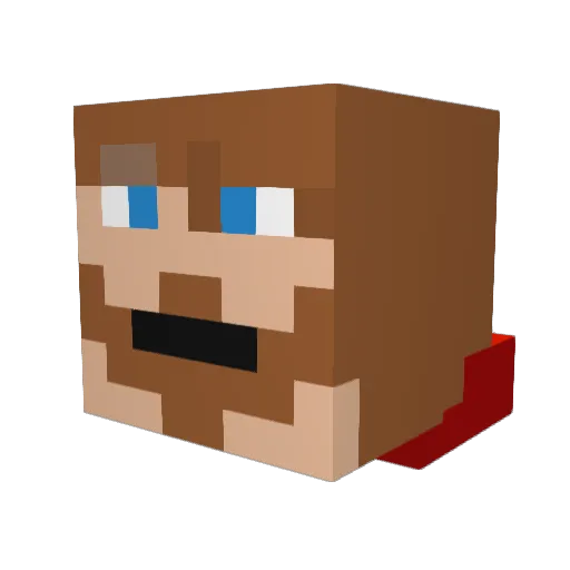 xdragon5502 Minecraft avatar head, 3D render