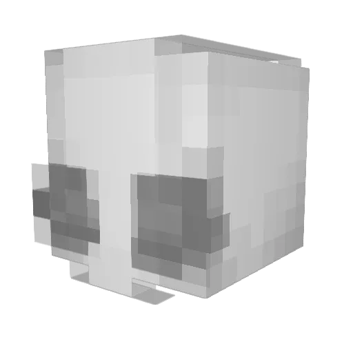 xdragon77 Minecraft avatar head, 3D render