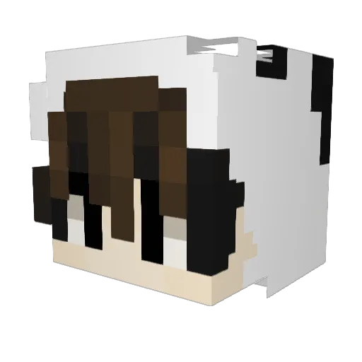 xdystopian Minecraft avatar head, 3D render