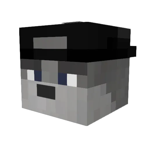 xekex1996 Minecraft avatar head, 3D render