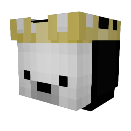 xelathin Minecraft avatar head, 3D render