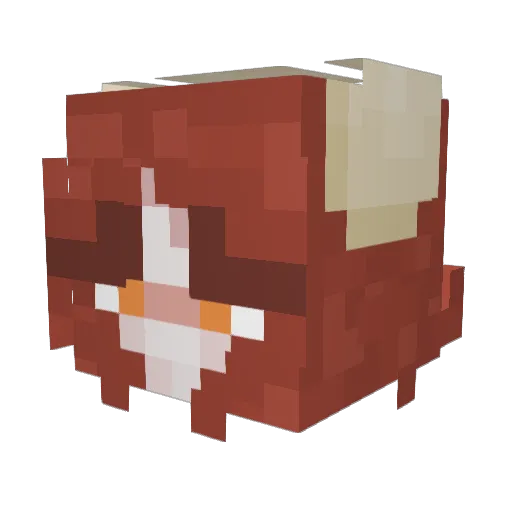 xelbit Minecraft avatar head, 3D render