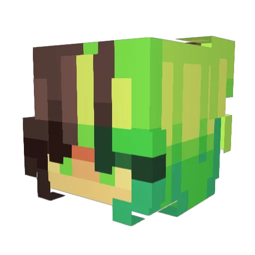 xelfi8 Minecraft avatar head, 3D render