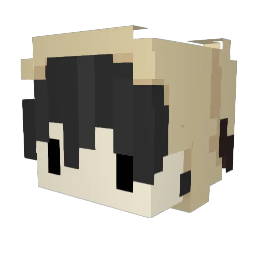 xellv Minecraft avatar head, 3D render