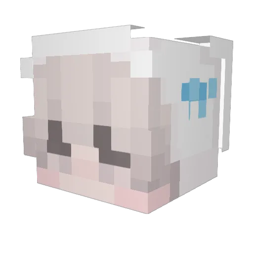 xelonel Minecraft avatar head, 3D render