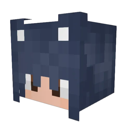xeltre Minecraft avatar head, 3D render