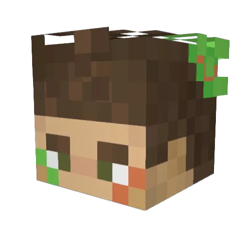 xelus_ Minecraft avatar head, 3D render