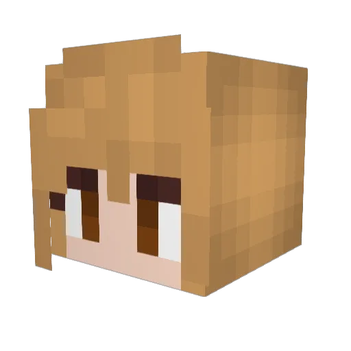 xelvis64x Minecraft avatar head, 3D render