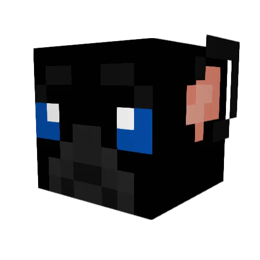 xenadapup Minecraft avatar head, 3D render