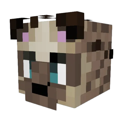 xeneku Minecraft avatar head, 3D render