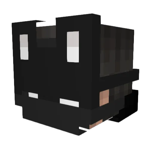 xenelox Minecraft avatar head, 3D render