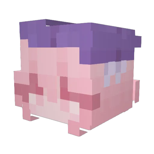 xenia0807 Minecraft avatar head, 3D render