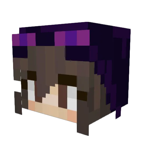 xenia1207 Minecraft avatar head, 3D render