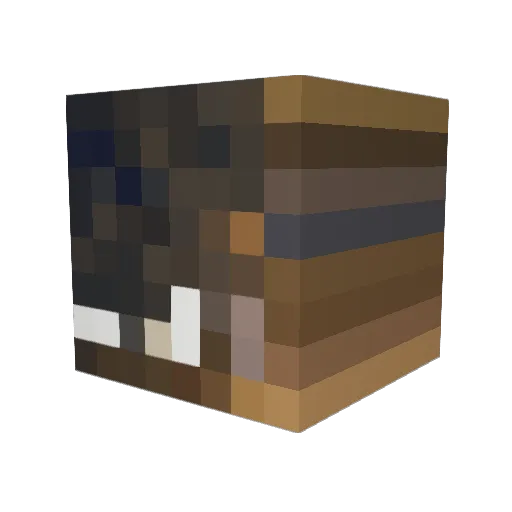 xenisko Minecraft avatar head, 3D render