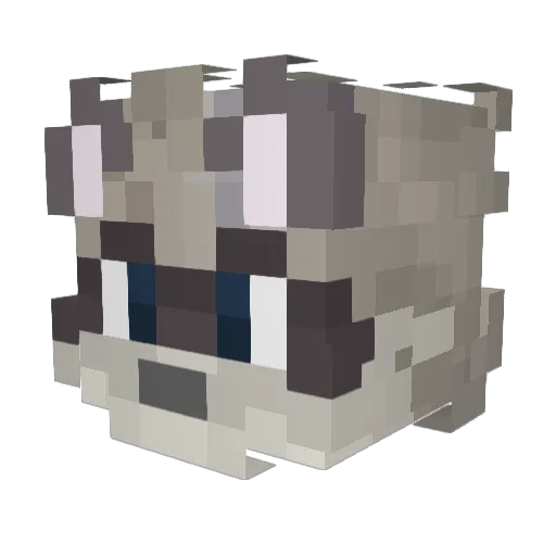 xenogoras Minecraft avatar head, 3D render