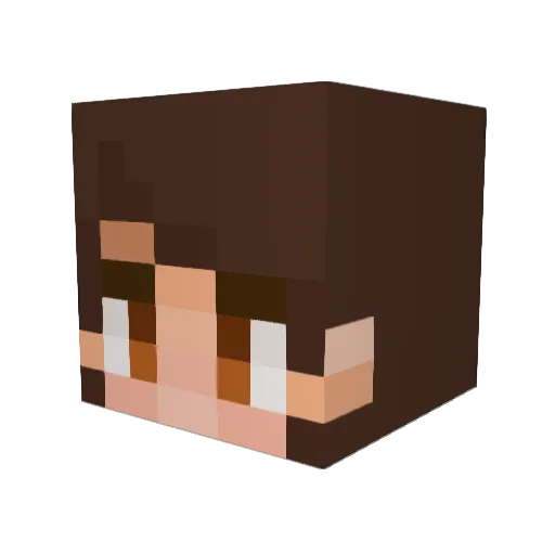 xenotechnophile Minecraft avatar head, 3D render
